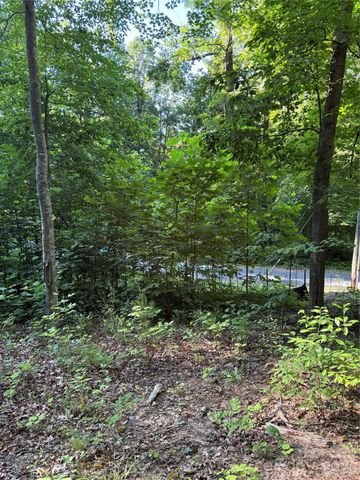 0 Lower Collier Cobb Drive, Lake Lure, NC 28746