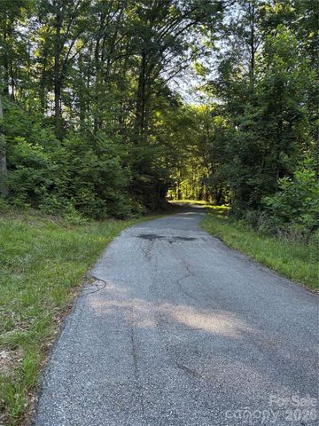 0 Lower Collier Cobb Drive, Lake Lure, NC 28746