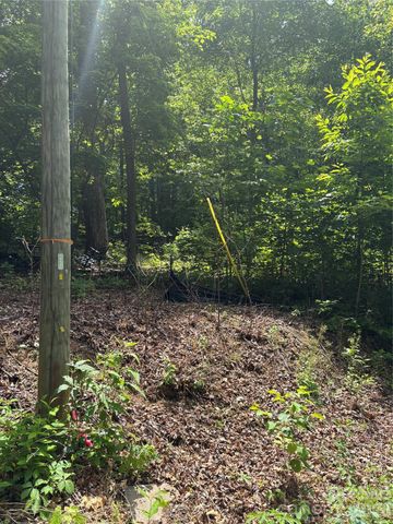 0 Lower Collier Cobb Drive, Lake Lure, NC 28746