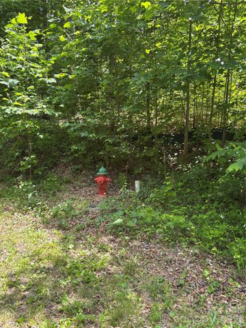 0 Lower Collier Cobb Drive, Lake Lure, NC 28746