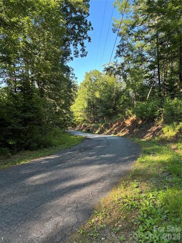0 Lower Collier Cobb Drive, Lake Lure, NC 28746