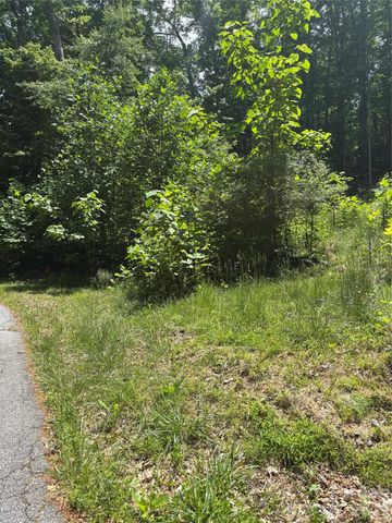 0 Lower Collier Cobb Drive, Lake Lure, NC 28746
