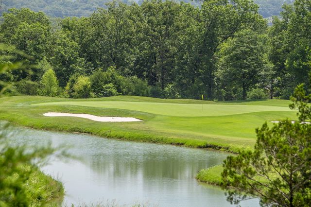 118 Troon Circle, Branson, MO 65616