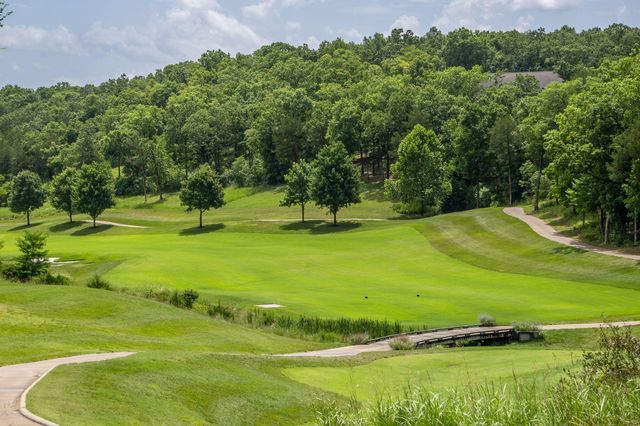 118 Troon Circle, Branson, MO 65616