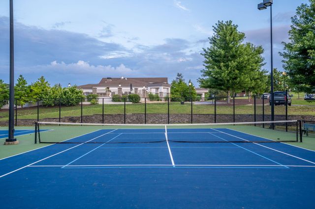 118 Troon Circle, Branson, MO 65616