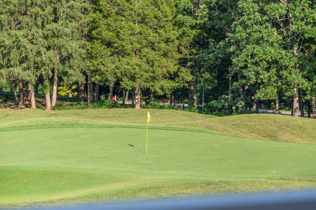 118 Troon Circle, Branson, MO 65616