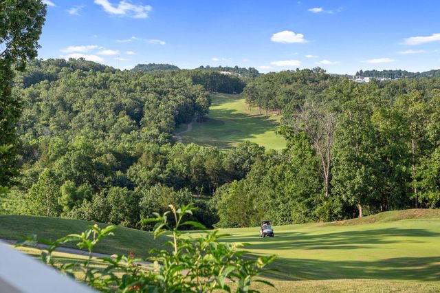 118 Troon Circle, Branson, MO 65616