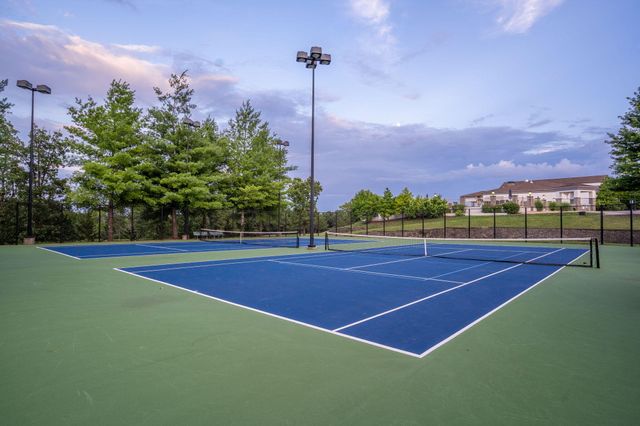 118 Troon Circle, Branson, MO 65616