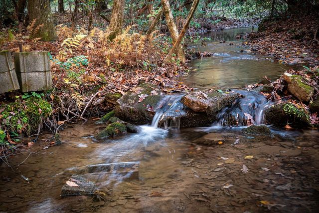 339 Wehunt Road, Blue Ridge, GA 30513