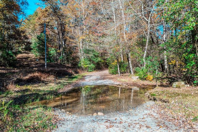 339 Wehunt Road, Blue Ridge, GA 30513