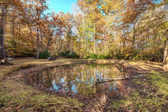 339 Wehunt Road, Blue Ridge, GA 30513