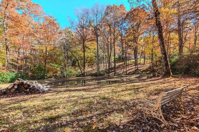 339 Wehunt Road, Blue Ridge, GA 30513