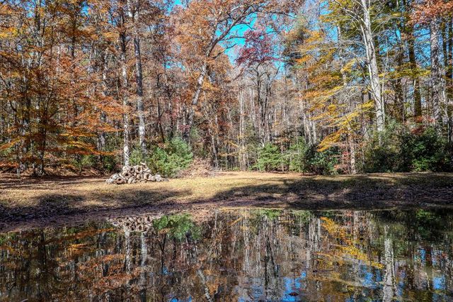 339 Wehunt Road, Blue Ridge, GA 30513