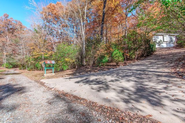 339 Wehunt Road, Blue Ridge, GA 30513