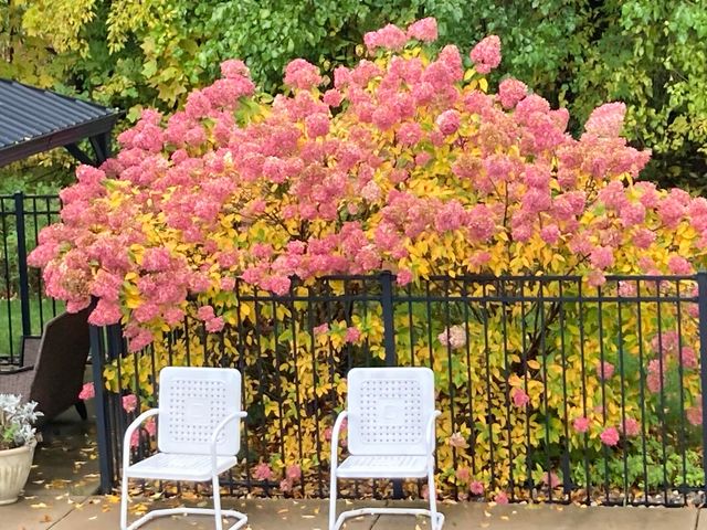 1704 Springwind Drive Sw, Byron Twp, MI 49315