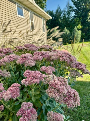 1704 Springwind Drive Sw, Byron Twp, MI 49315