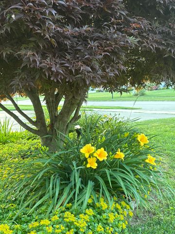 1704 Springwind Drive Sw, Byron Twp, MI 49315