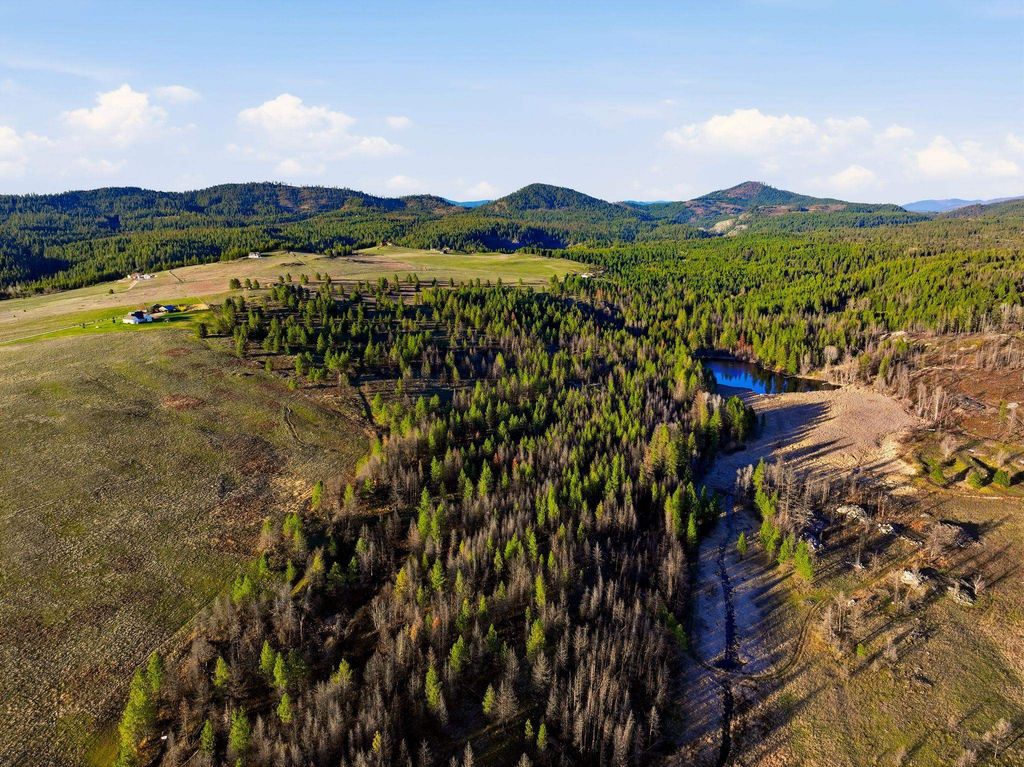 NNA Undisclosed Address Rd, Elk, WA 99009 photo 48