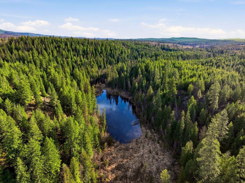 NNA Undisclosed Address Rd, Elk, WA 99009 photo 6