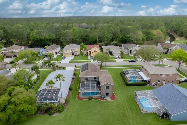 13106 ROYAL GEORGE AVENUE, Odessa, FL 33556