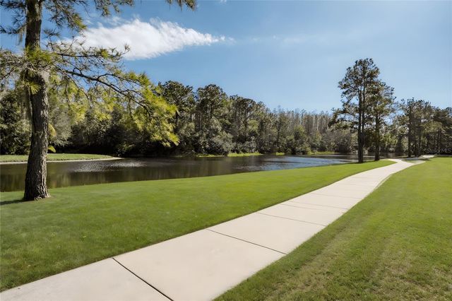 13106 ROYAL GEORGE AVENUE, Odessa, FL 33556