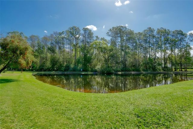 13106 ROYAL GEORGE AVENUE, Odessa, FL 33556