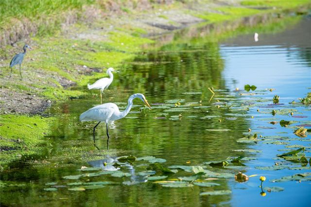 5234 MAHOGANY RUN AVENUE, Sarasota, FL 34241