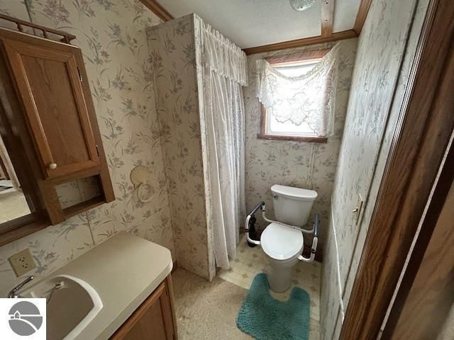 6189 Wildwood Drive, Elwell, MI 48832