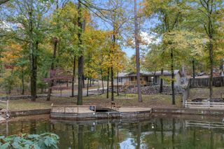 659 Charlie Stover Road, Royal, AR 71968