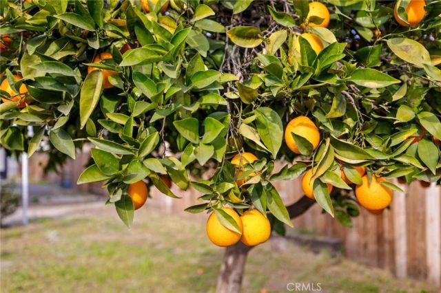 215 8th, Bakersfield, CA 93304