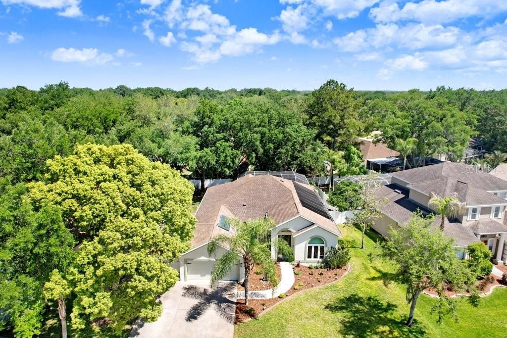 Image 6 of property listing at 3026 PARTRIDGE POINT TRAIL, Valrico, FL 33594