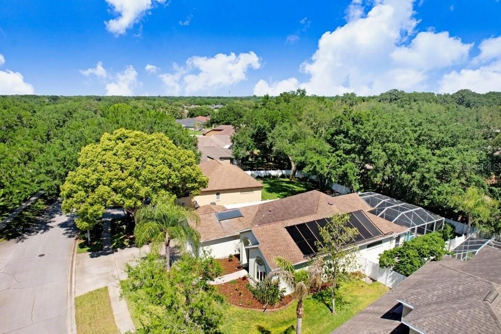 Image 7 of property listing at 3026 PARTRIDGE POINT TRAIL, Valrico, FL 33594