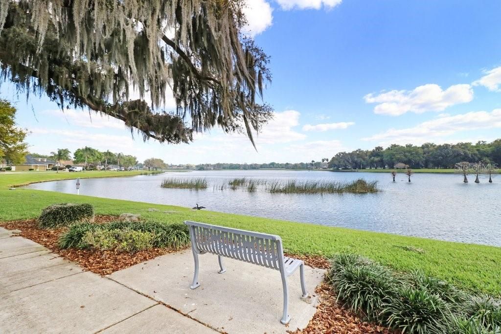 Image 63 of property listing at 3026 PARTRIDGE POINT TRAIL, Valrico, FL 33594