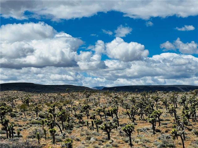 57864 Sunflower, Yucca Valley, CA 92284