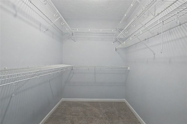 14715 & 14719 Cedar Lane Loop, Willis, TX 77378