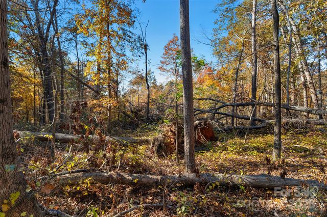 0000 Bud Davis Road 5, Vale, NC 28168