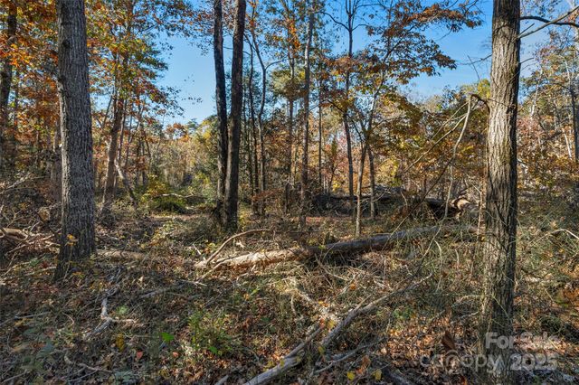 0000 Bud Davis Road 5, Vale, NC 28168