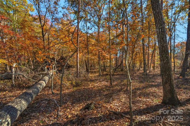 0000 Bud Davis Road 5, Vale, NC 28168