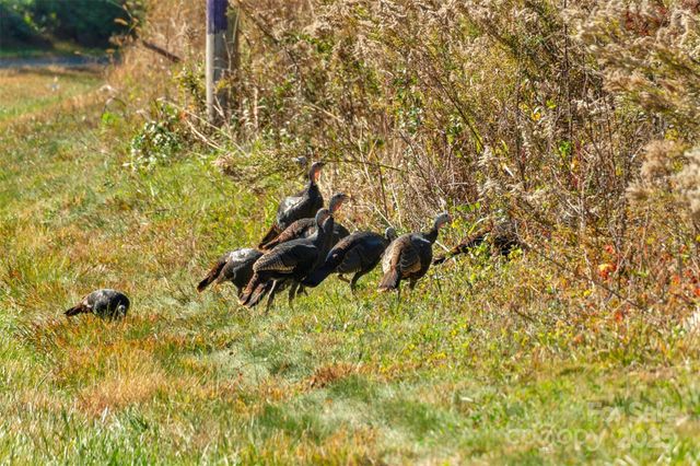 0000 Bud Davis Road 5, Vale, NC 28168