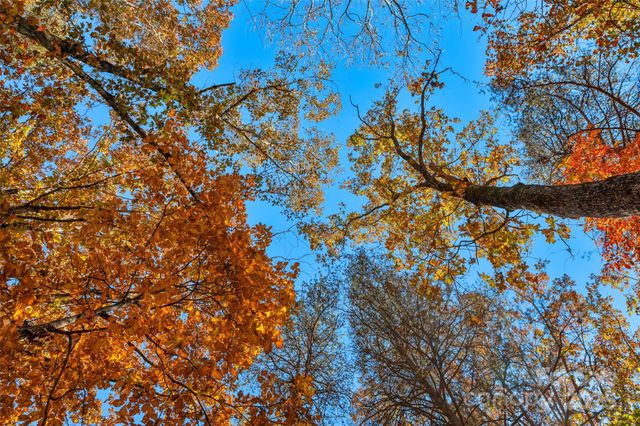 0000 Bud Davis Road 5, Vale, NC 28168