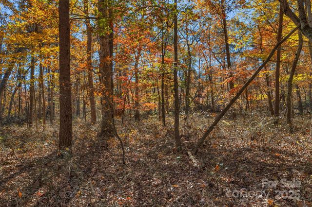 0000 Bud Davis Road 5, Vale, NC 28168