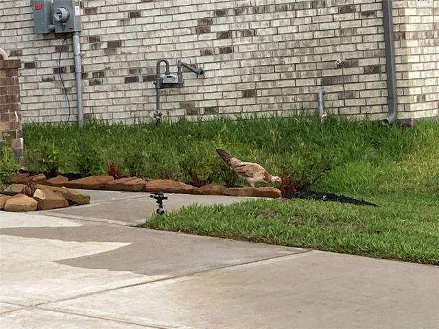 22826 Ephesus Avenue, Tomball, TX 77377