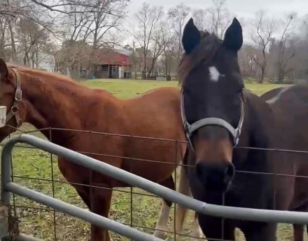 00 Theall Road, Houston, TX 77066