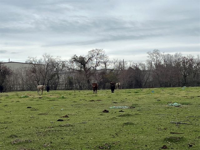 00 Theall Road, Houston, TX 77066