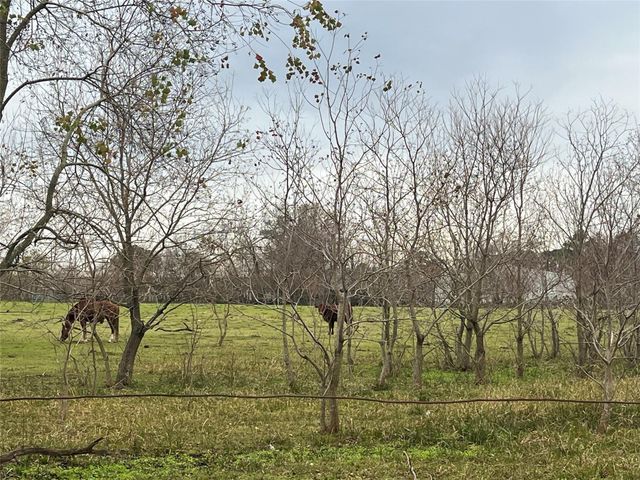 00 Theall Road, Houston, TX 77066