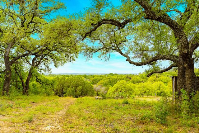 28205 Turner Ranch RD, Marble Falls, TX 78654