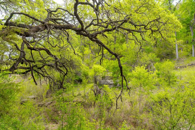 28205 Turner Ranch RD, Marble Falls, TX 78654