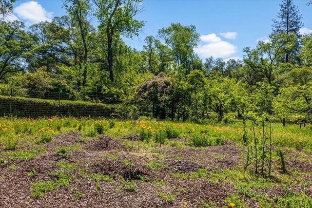 4539 Rattlesnake Bar Rd, Pilot Hill, CA 95664