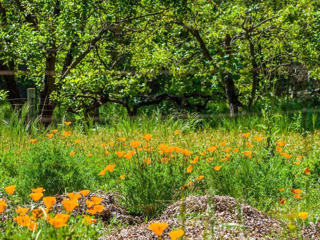 4539 Rattlesnake Bar Rd, Pilot Hill, CA 95664