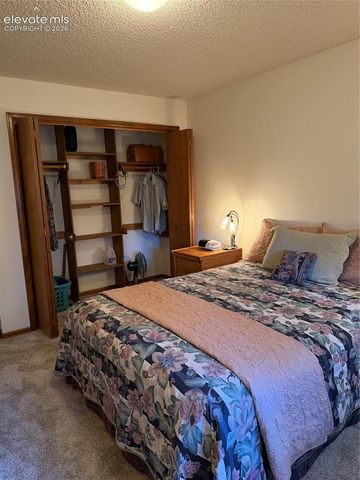 17730 Grama Ridge Road, Colorado Springs, CO 80908